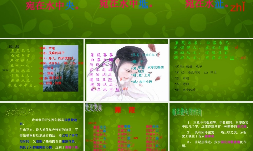 九年级语文下册 624(诗经两首)蒹葭课件 (新版)新人教版 课件