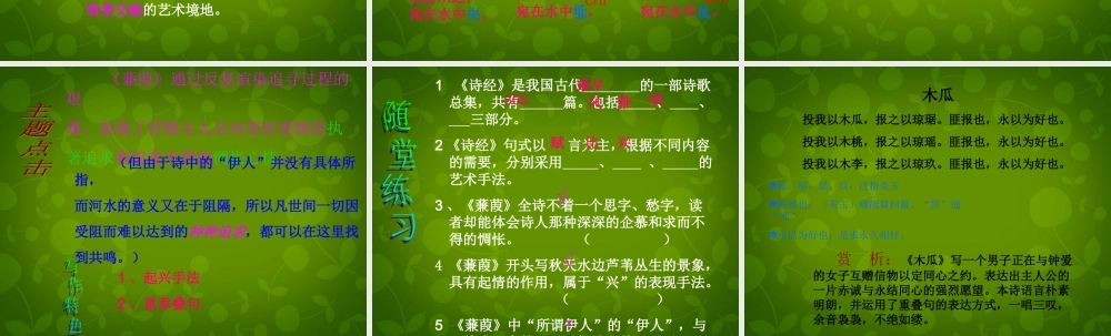 九年级语文下册 624(诗经两首)蒹葭课件 (新版)新人教版 课件