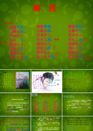 九年级语文下册 624(诗经两首)蒹葭课件 (新版)新人教版 课件