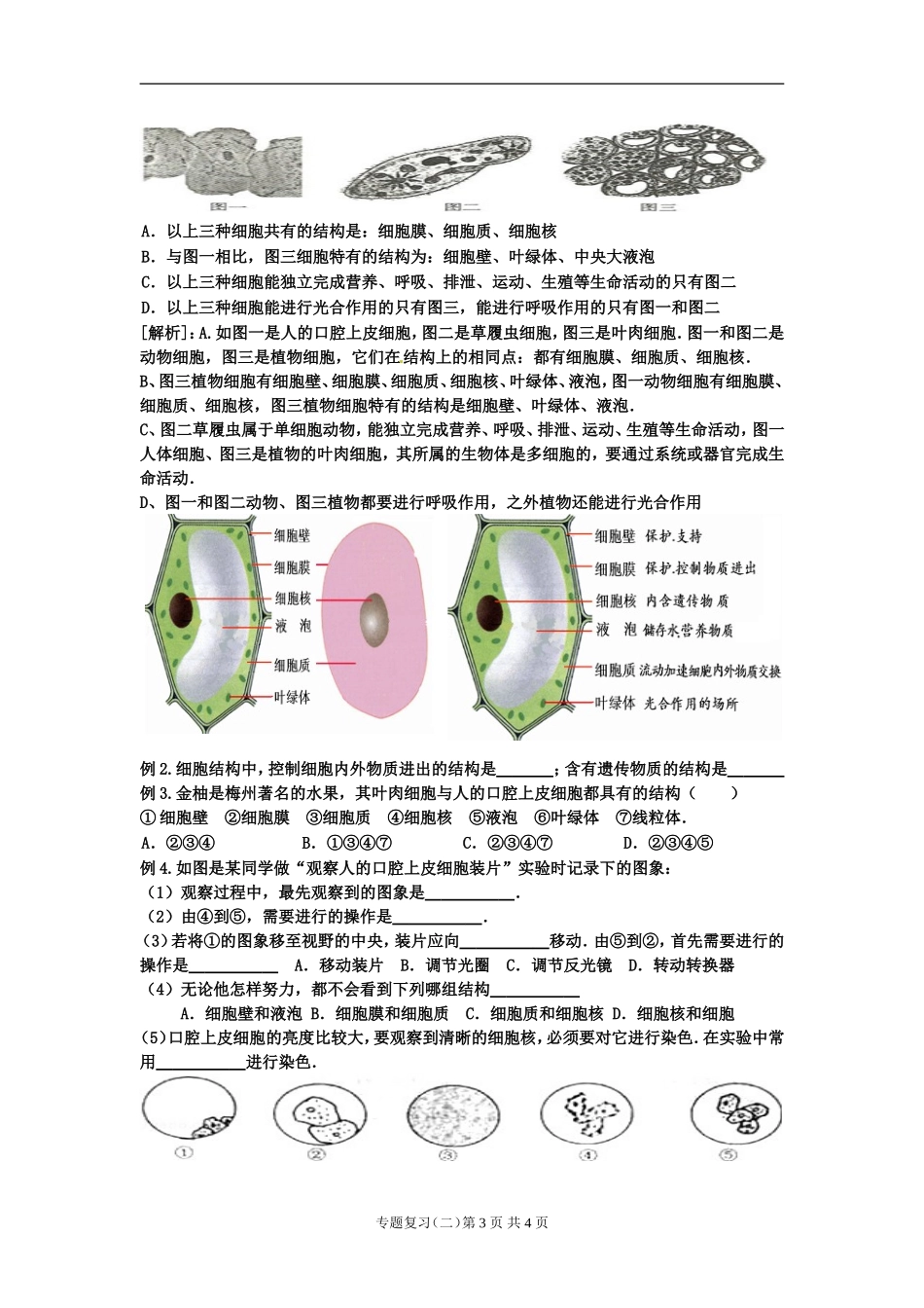 专题复习（二）科学探究与生物体结构层次_第3页