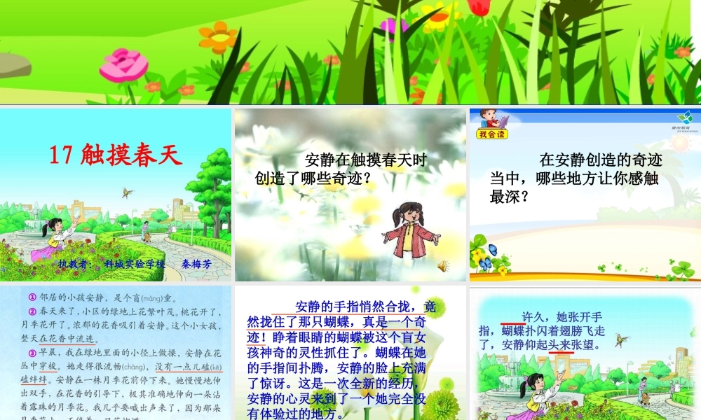 秦梅芳《触摸春天》