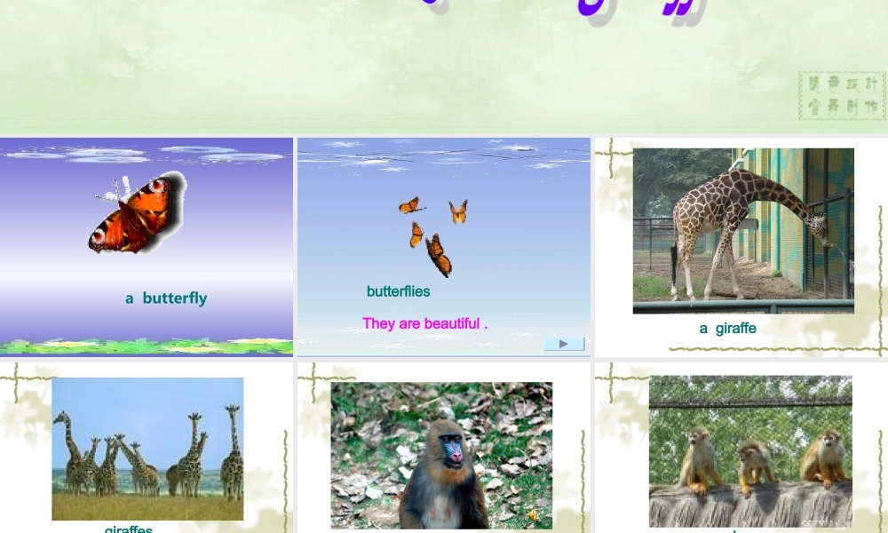 七年级英语Module 7 Unit1 Look at the giraffes 课件外研版 课件