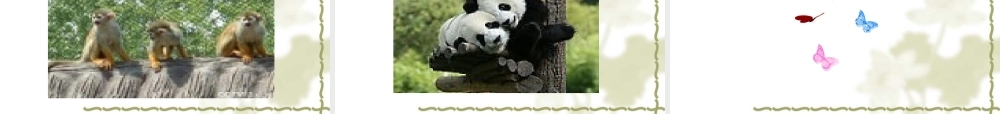 七年级英语Module 7 Unit1 Look at the giraffes 课件外研版 课件