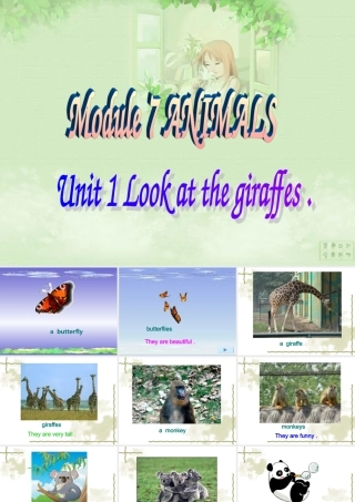 七年级英语Module 7 Unit1 Look at the giraffes 课件外研版 课件