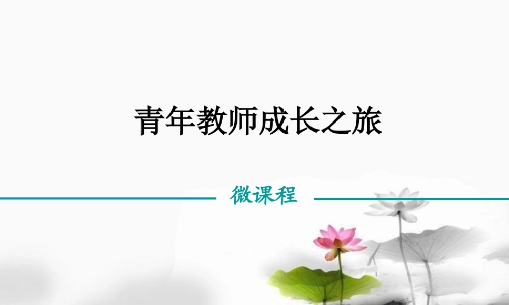 青年教师成长之旅