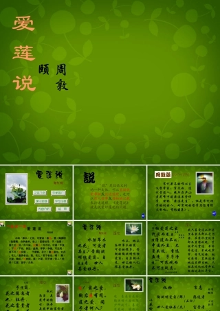 八年级语文上册 第五单元 22(短文两篇)爱莲说课件2 新人教版 课件