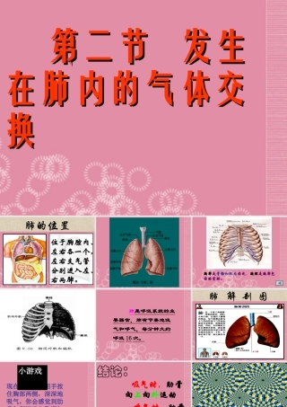 七年级生物下册 3.2 发生在肺内的气体交换课件 新人教版 课件