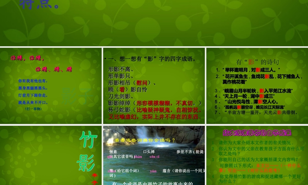 中学七年级语文下册(第四单元 第18课 竹影)课件 新人教版 课件