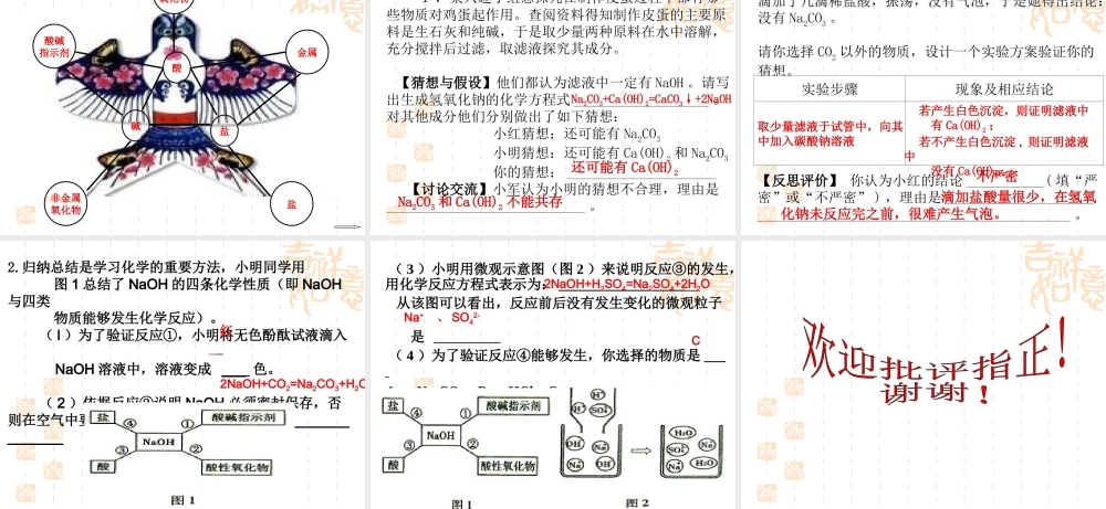 酸碱盐专题复习课