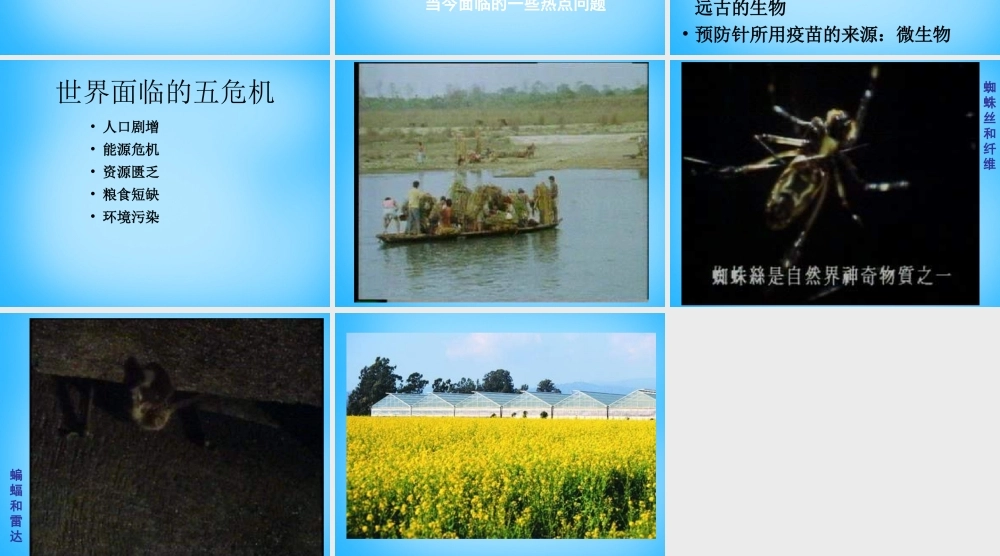 中学七年级生物上册 生物学与人类生活的关系课件 苏教版 课件