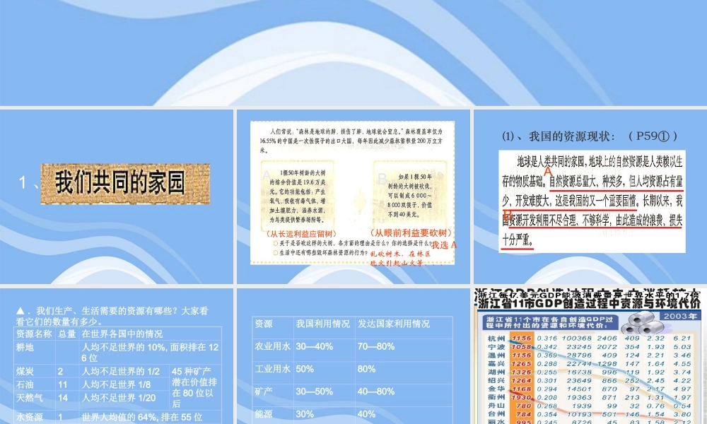 九年级政治 实施可持续发展战略课件 人教新课标版 课件