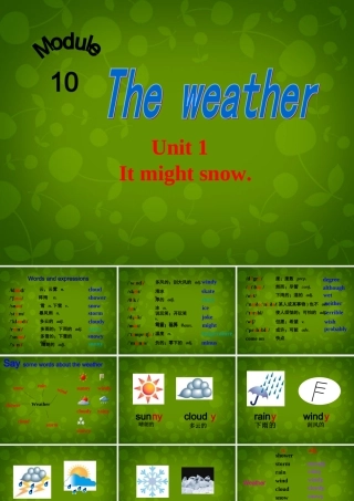 八年级英语上册 Module 10 Unit 1 It might snow课件 (新版)外研版 课件