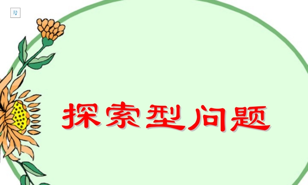 初三数学总复习探索性问题 试题