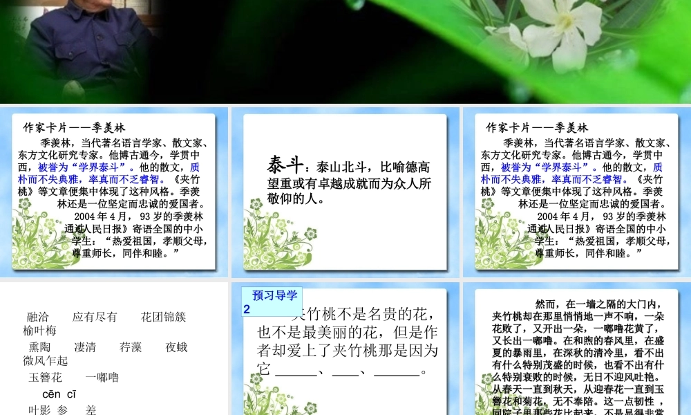 夹竹桃（新）