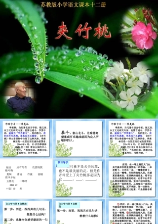 夹竹桃（新）