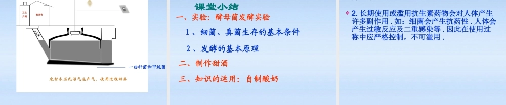 八年级生物上册 第五章第二节人类对细菌真菌的利用课件 人教新课标版 课件