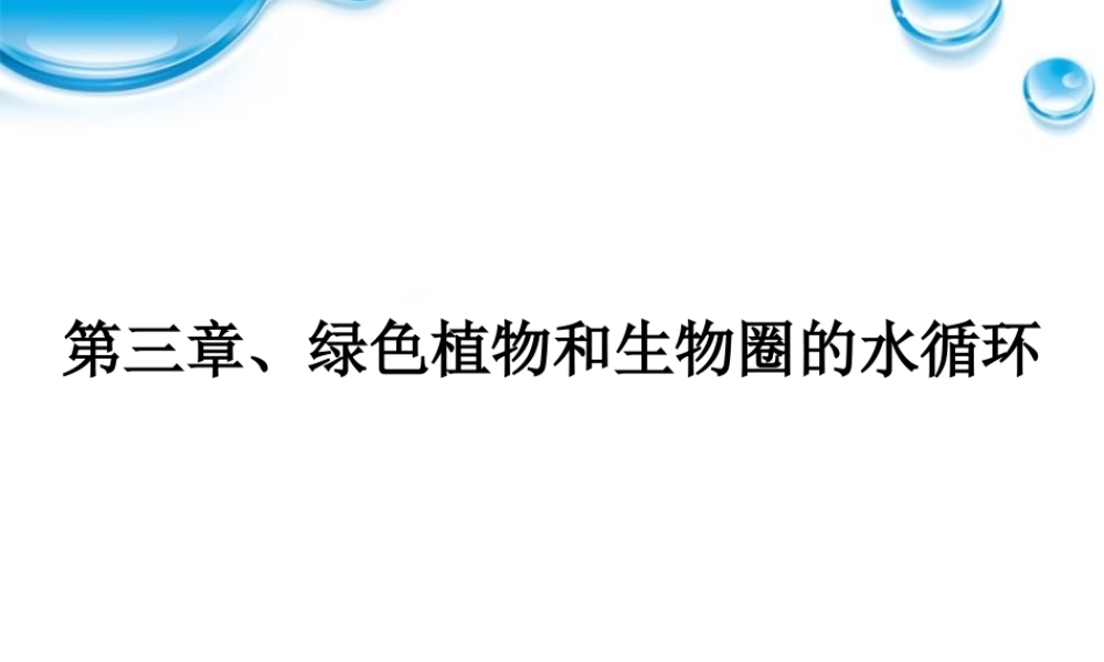 七年级生物上册 水分进入植物体内的途径课件 人教新课标版 课件