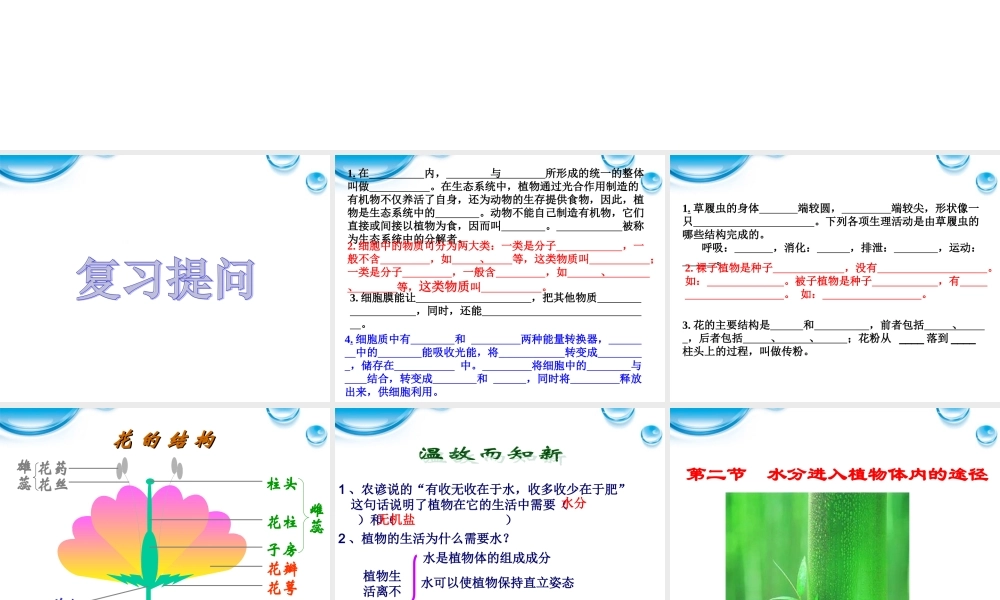 七年级生物上册 水分进入植物体内的途径课件 人教新课标版 课件