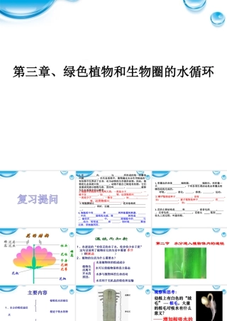 七年级生物上册 水分进入植物体内的途径课件 人教新课标版 课件
