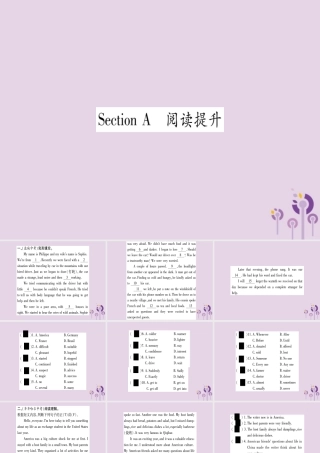 九年级英语全册 Unit 10 You re supposed to shake hands Section A作业课件 (新版)人教新目标版 课件