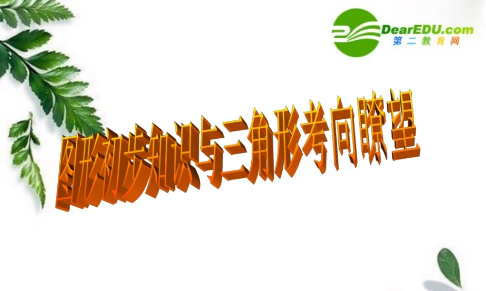 初中数学图形初步知识与三角形考向瞭望课件