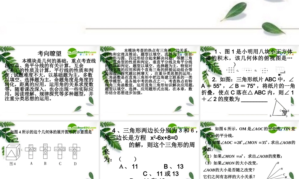 初中数学图形初步知识与三角形考向瞭望课件