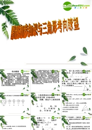 初中数学图形初步知识与三角形考向瞭望课件