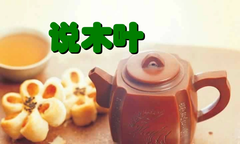 人教版高一语文说木叶 林庚 课件