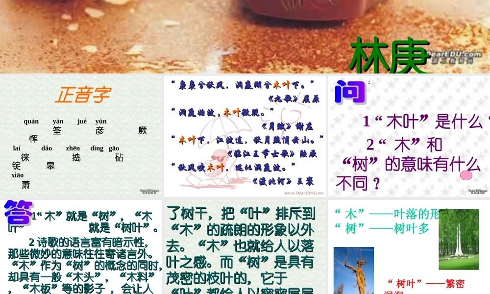 人教版高一语文说木叶 林庚 课件