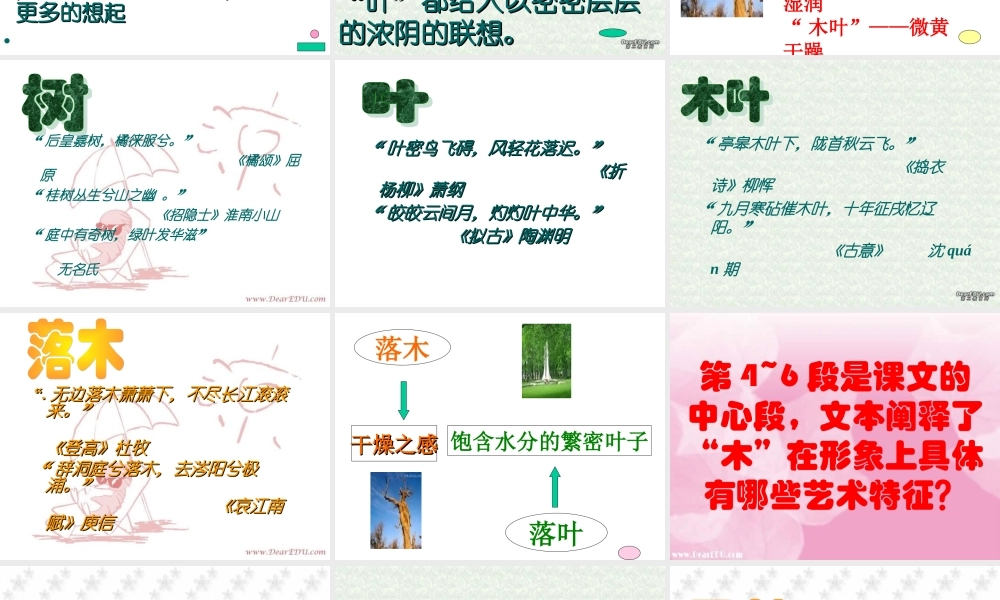 人教版高一语文说木叶 林庚 课件