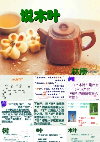 人教版高一语文说木叶 林庚 课件