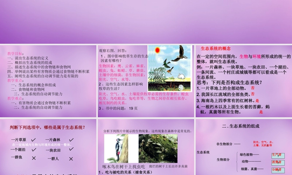 中学七年级生物上册 1.2.2 生物与环境组成生态系统课件 新人教版 课件