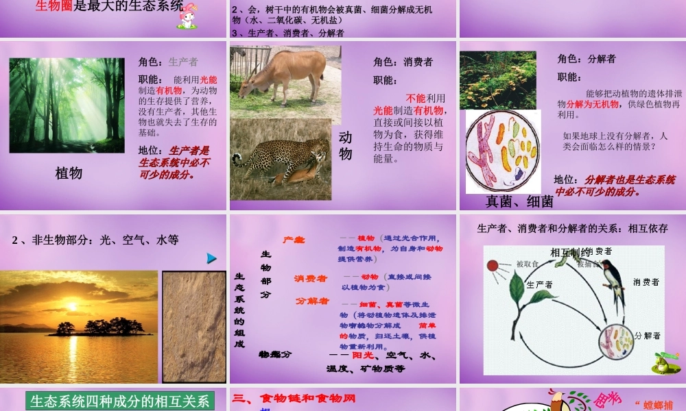 中学七年级生物上册 1.2.2 生物与环境组成生态系统课件 新人教版 课件