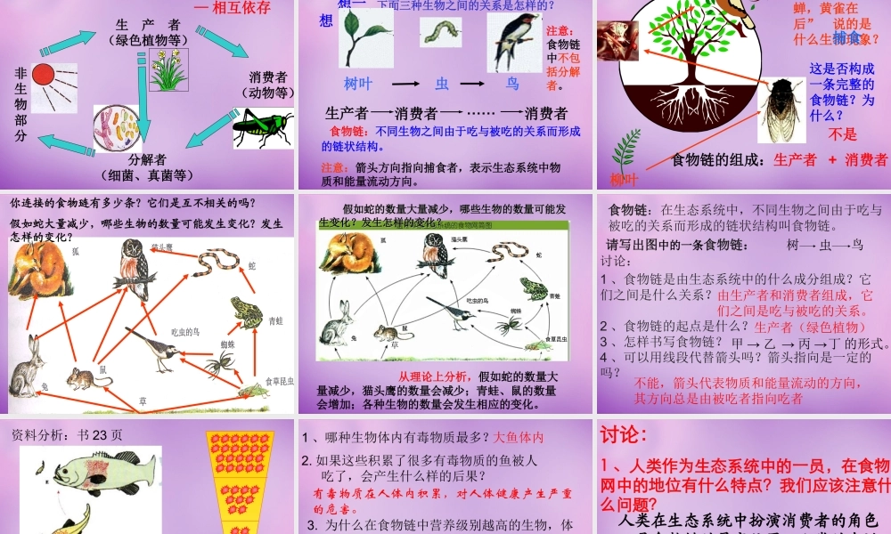 中学七年级生物上册 1.2.2 生物与环境组成生态系统课件 新人教版 课件
