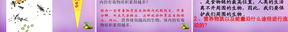 中学七年级生物上册 1.2.2 生物与环境组成生态系统课件 新人教版 课件
