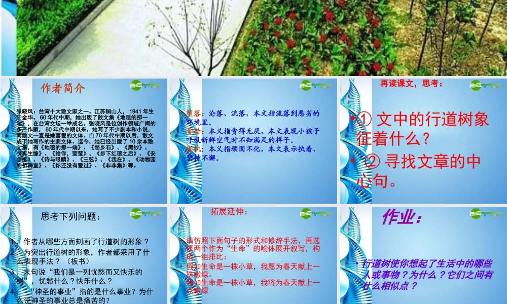 七年级语文上册 (行道树)课件 人教新课标版 课件