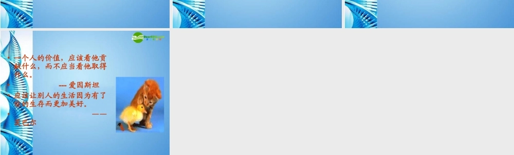 七年级语文上册 (行道树)课件 人教新课标版 课件