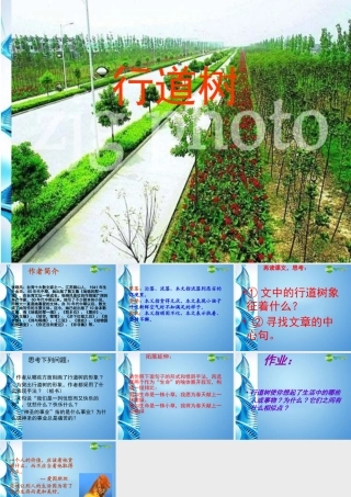 七年级语文上册 (行道树)课件 人教新课标版 课件