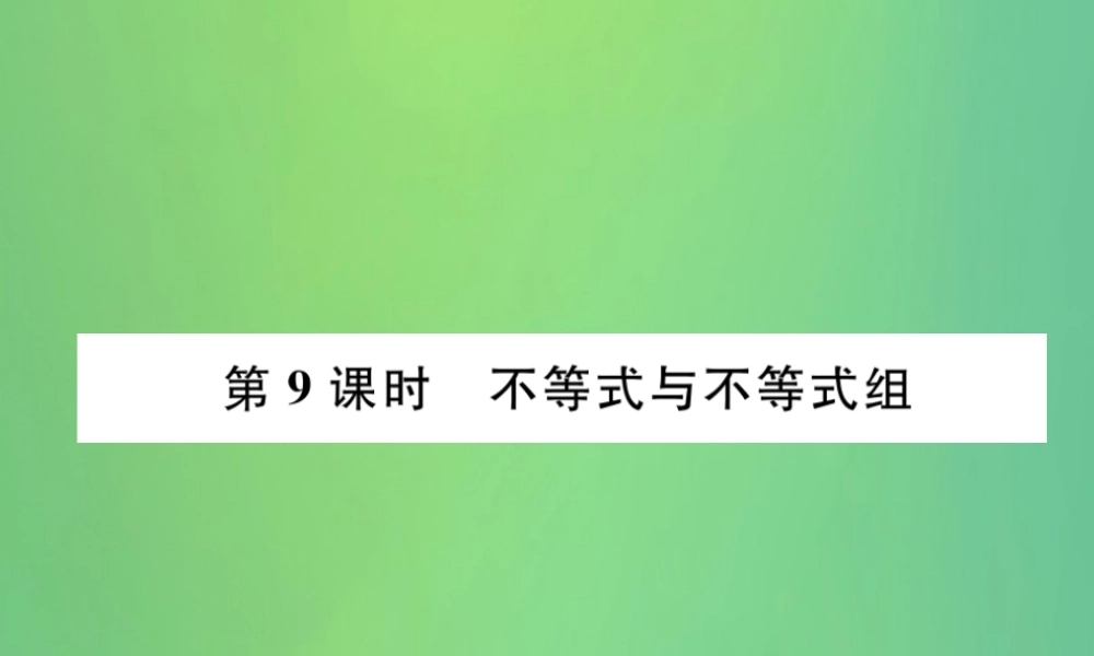 中考数学复习 第2章 方程(组)与不等式(组)第9课时 不等式与不等式组(精练)课件