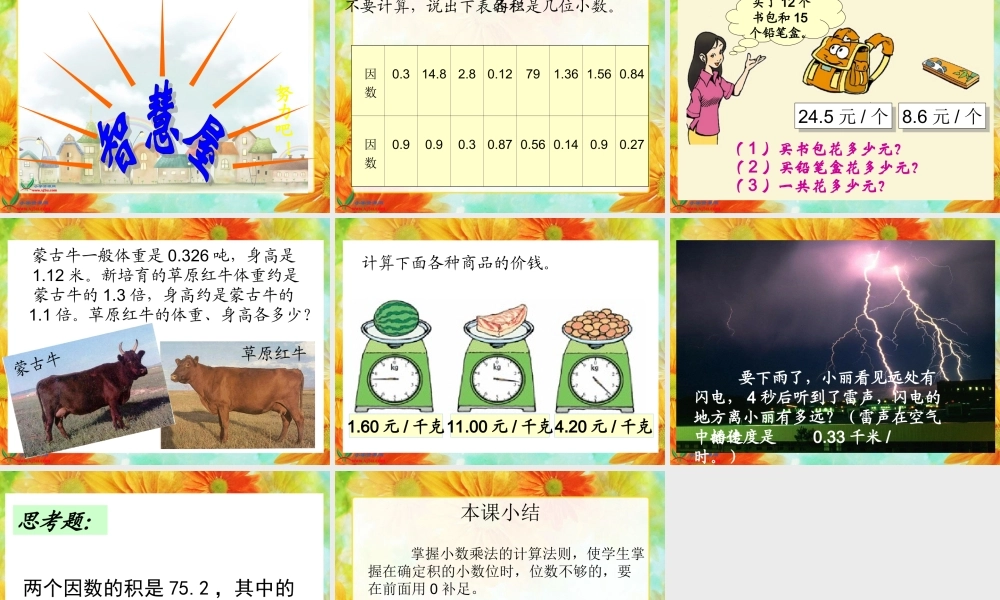 人教新课标数学五年级上册《小数乘小数_3》PPT课件