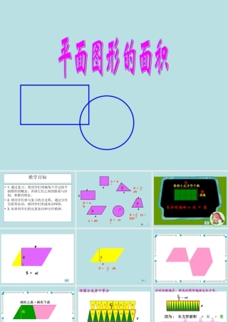 《平面图形的面积》