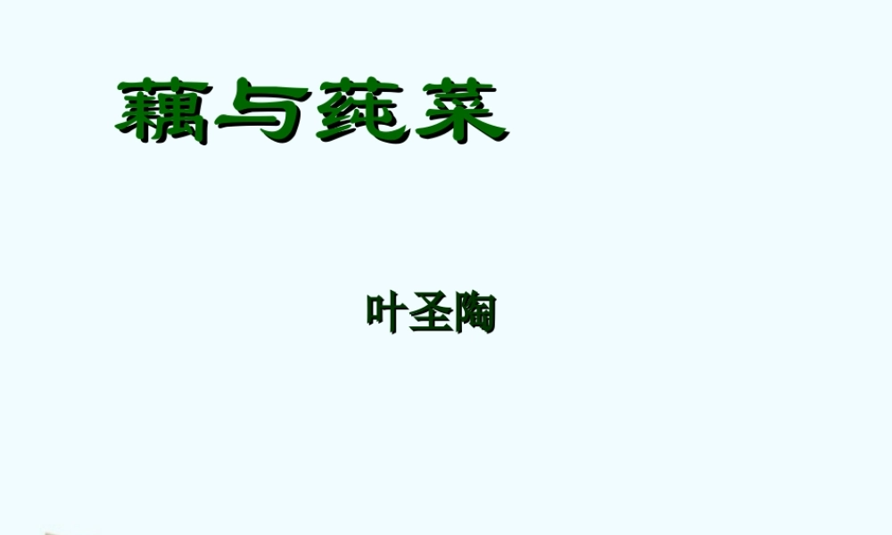 七年级语文上册 (藕与莼菜)课件 沪教版 课件