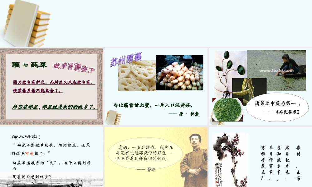 七年级语文上册 (藕与莼菜)课件 沪教版 课件