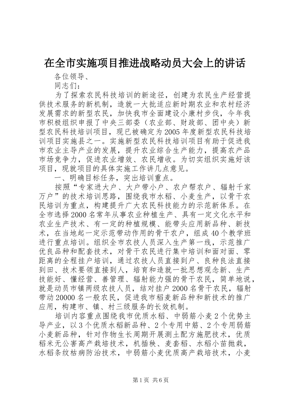在全市实施项目推进战略动员大会上的讲话_第1页