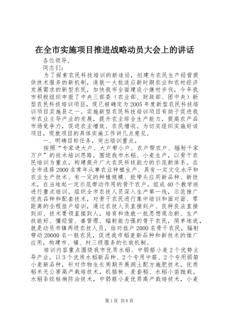 在全市实施项目推进战略动员大会上的讲话