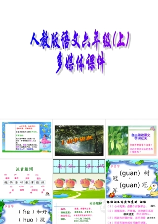 山中访友课件 (3)