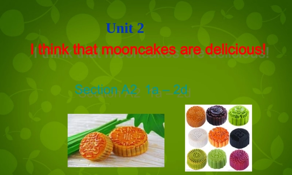 九年级英语全册 Unit 2 I think that mooncakes are delicious Section A 2课件 (新版)人教新目标版 课件