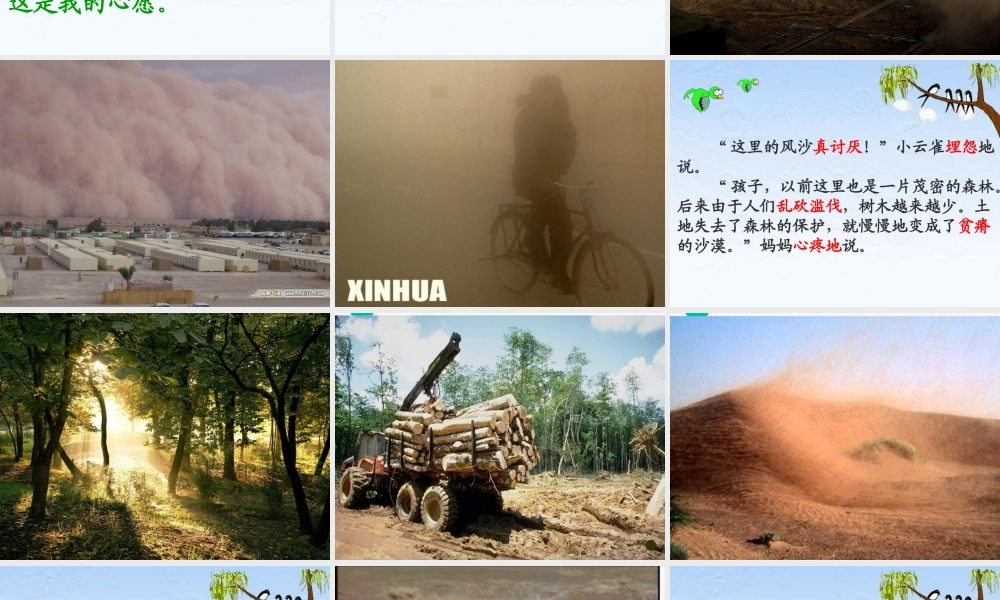 小学语文教学课件