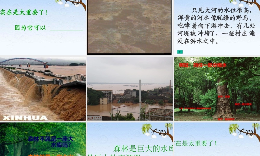 小学语文教学课件