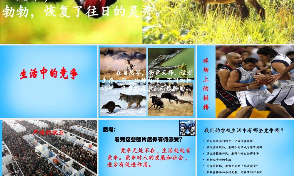 中学七年级政治下册 第9课 生命的林子课件 人民版 课件